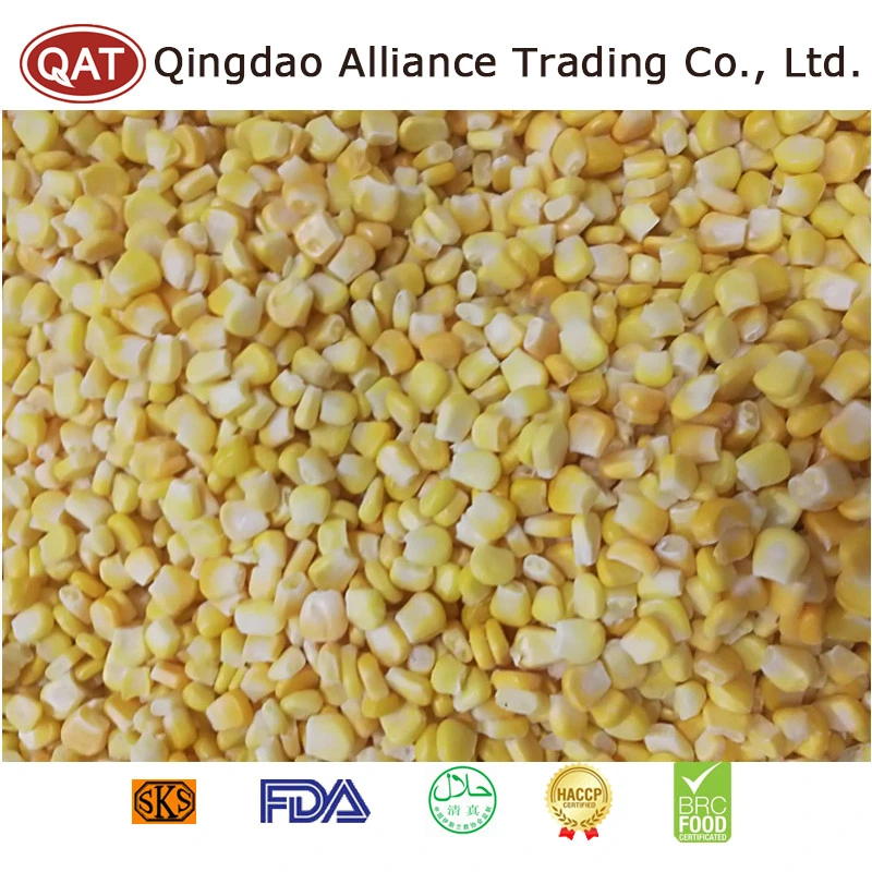 Wholesale/Supplier Bulk Price Frozen Super Sweet Corn Kernels IQF Corn with Exporting Standard