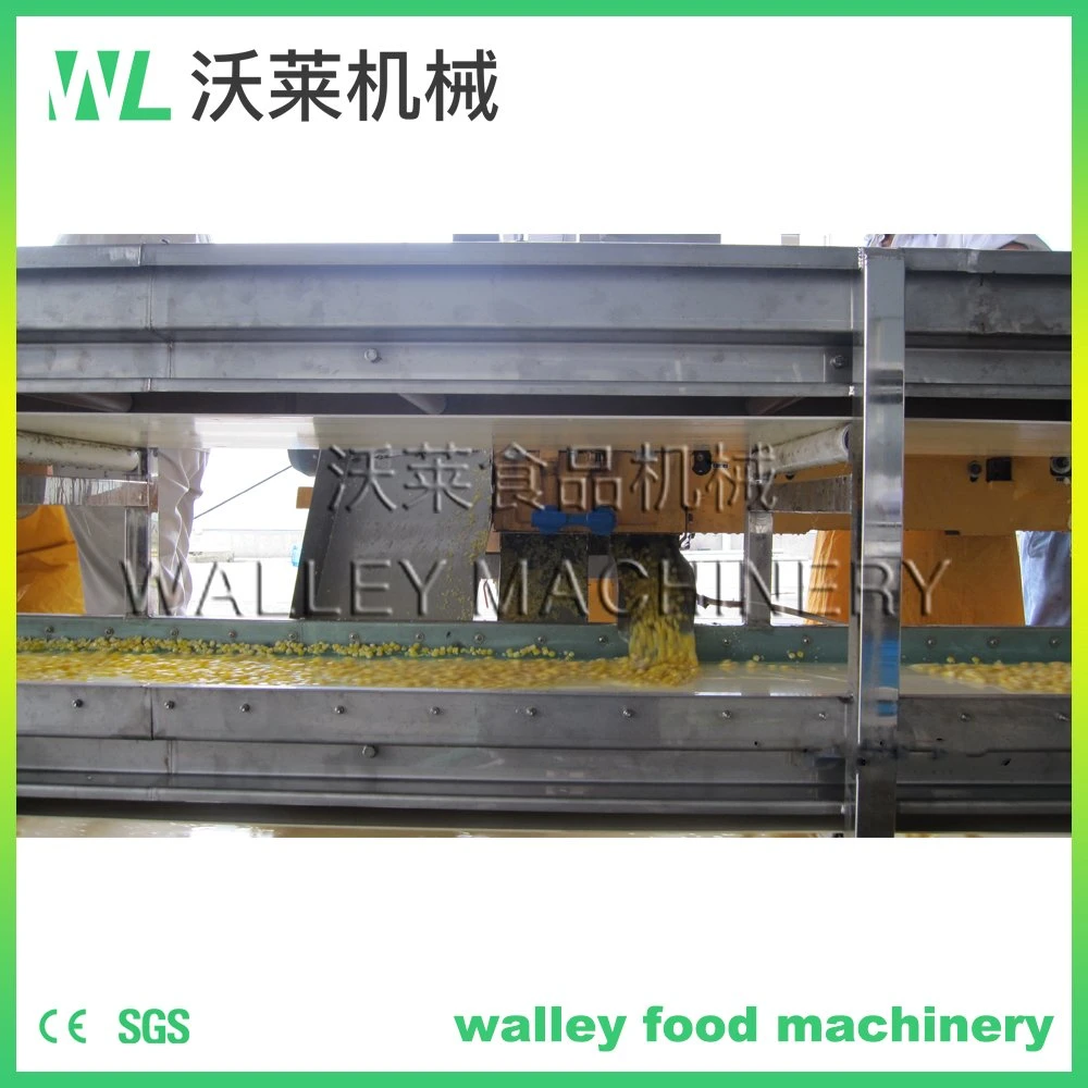 Automatic Stainless Steel Maize Thresher Fresh Sweet Corn Cutting Machine