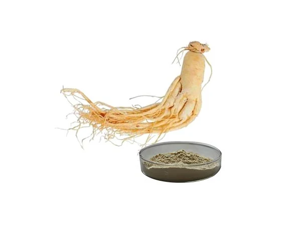 Ginseng استخراج عشبي باناكس جينسنغ مستخرج مع NOP الاتحاد الأوروبي شهادة