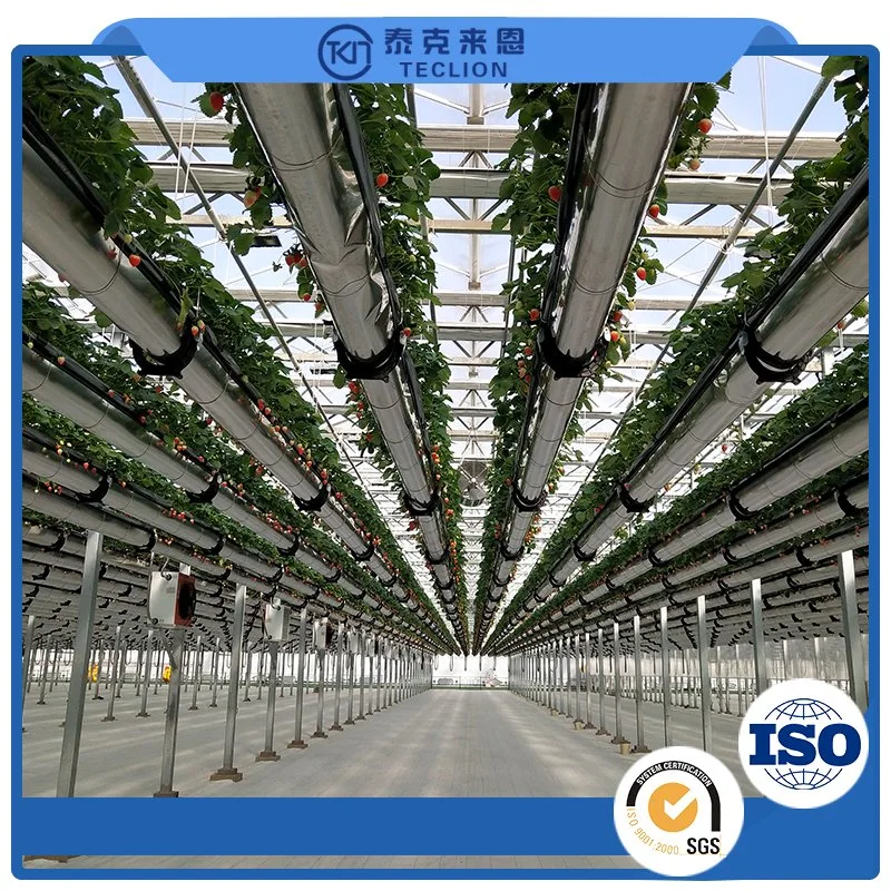 9600*650*2350mm Ready to Grow Aeroponic Hydroponic System Container Farm Medical Cultivation