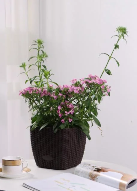 Wholesale/Supplier Garden Rattan Flower Pots Factory Directly Sale Garden Supplies Medium Size Self-Watering Functions for Home Office (TB-3111)