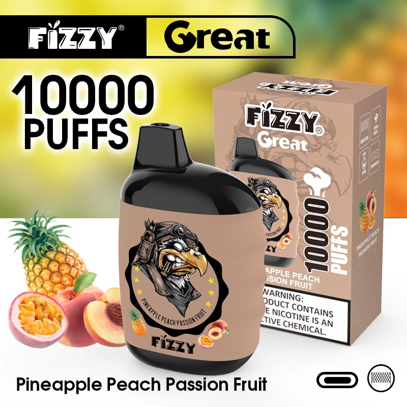 Fizzy Great Pop OEM Custom 10000 Puff Disposable/Chargeable Vape Pod Device E Cigarette