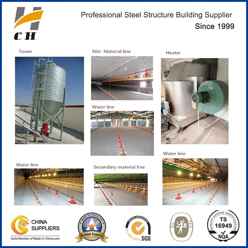 Prefab Low Price Light Steel Structure for Poultry Farm/Poultry Shed/Chicken Farm/Chicken Shed