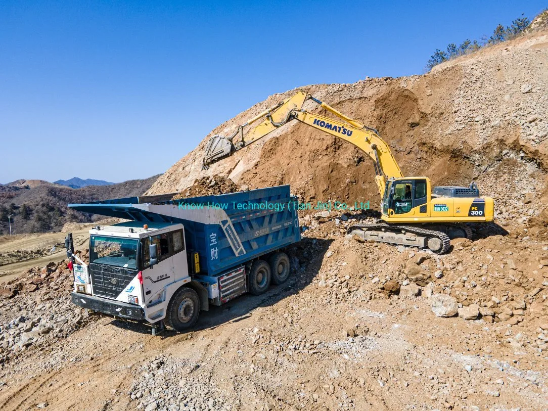 Know-How Trucks Factory utilizó el Transportista eléctrico de camiones de Descarga transparente China Nke105D4