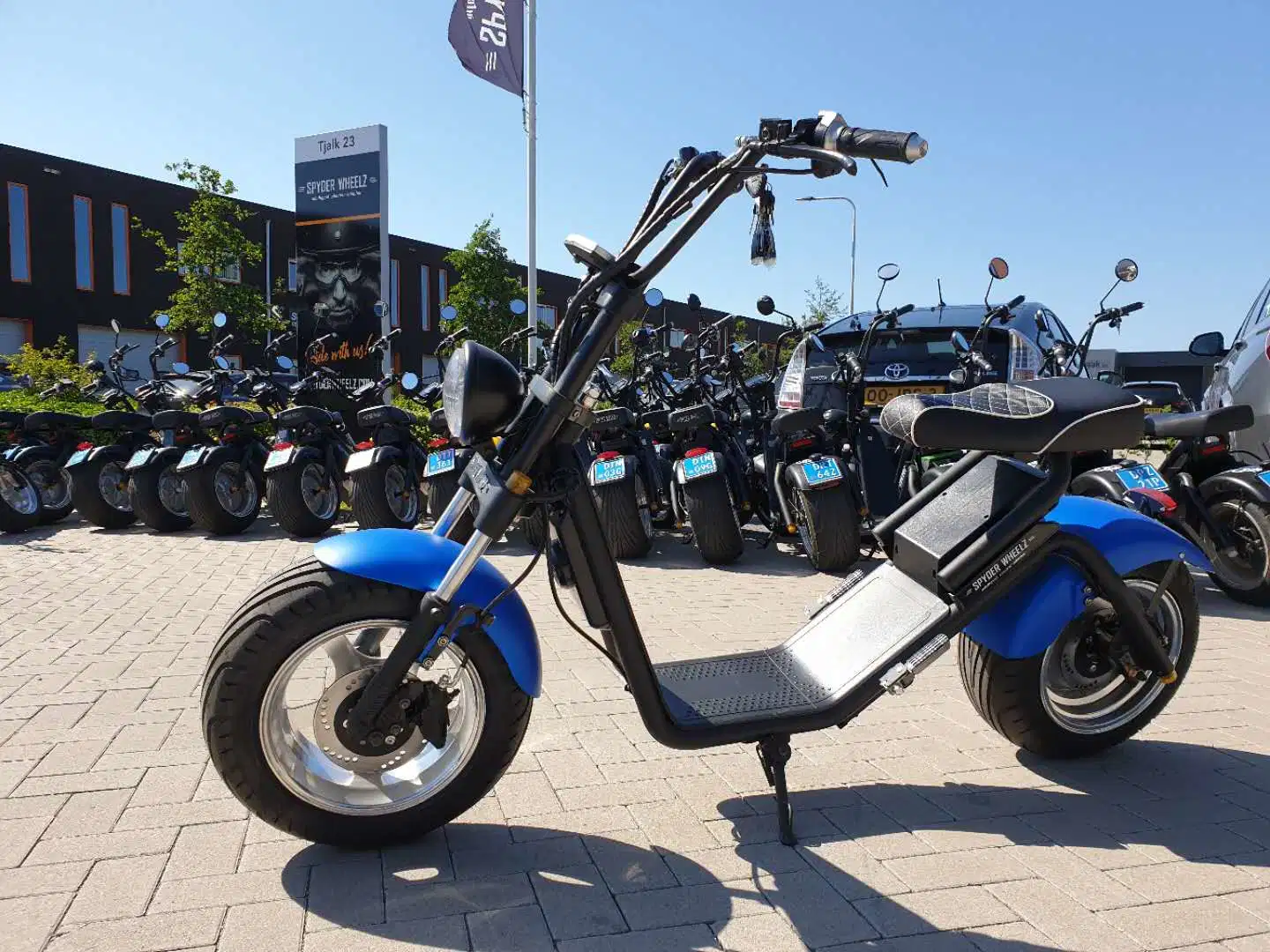 El precio más bajo de 1000W off-road Trike Scooter eléctrico bicicletas bicicleta Bicicleta de grasa para adultos