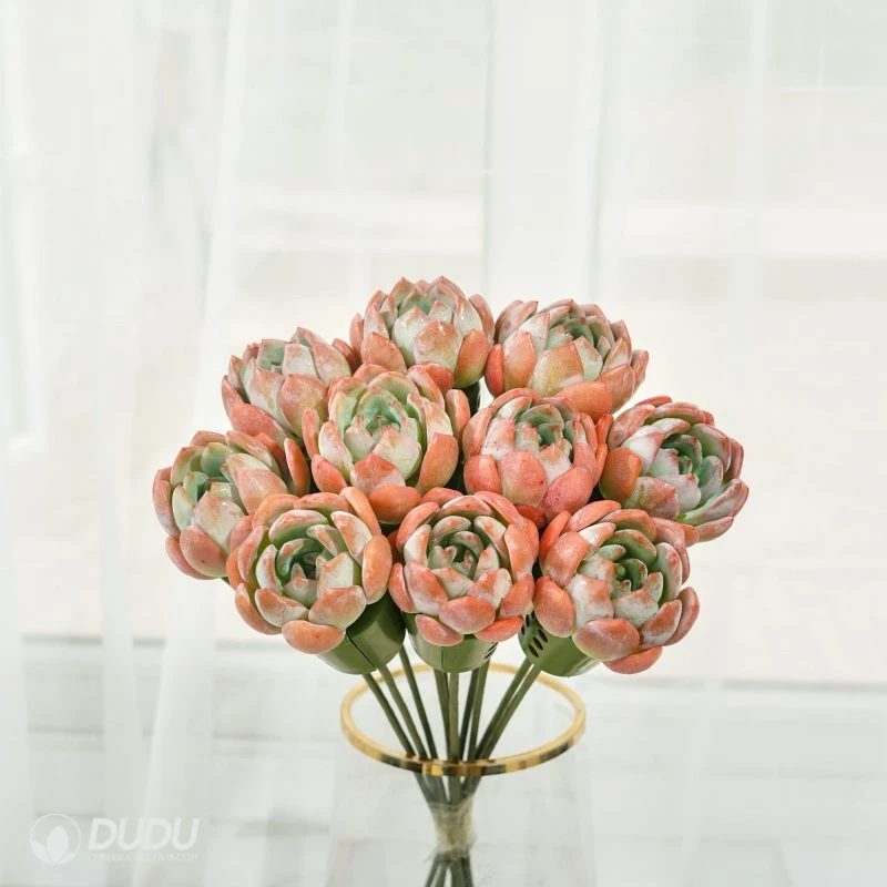 Dudu New Arrival Pretty Berry Bouquets Natural Live Succulent