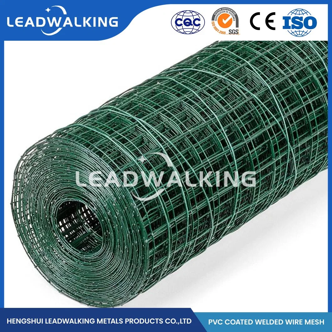 Malla de alambre soldado Leadwalking Fabricators recubierto de PVC 1/2 pulgadas recubierto de PVC Mallas Soldadas China 1/4 pulgadas recubierto de PVC negro Mallas Soldadas para Bird Cage