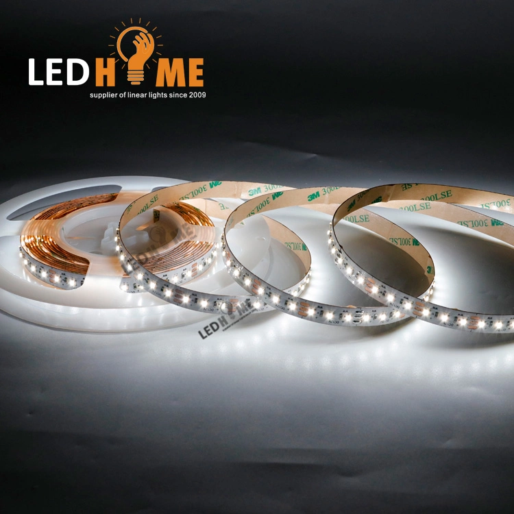 24V Dimmerble Flexible LED Strip with 240 LED Light and Lamp