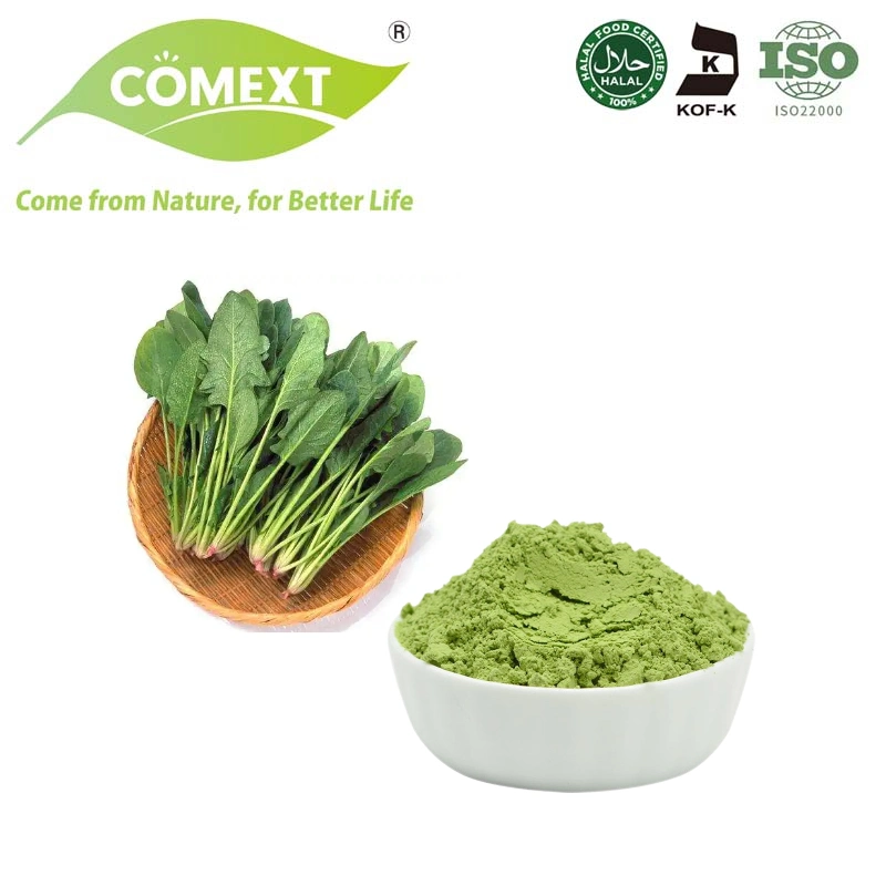 Comext Food Grade Natural Spinach Extract Vegetable Spinach Extract Powder