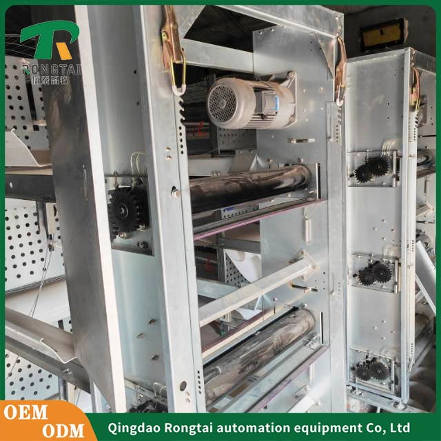 Automatic Incubator and Hatcher Poultry Equipment of Egg Layer Chicken Cage Farming Automatic