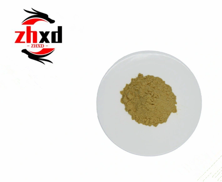 Panax Notoginseng Root and Rhizome Dry Extract 60% Total Saponins HPLC Chemical Powder