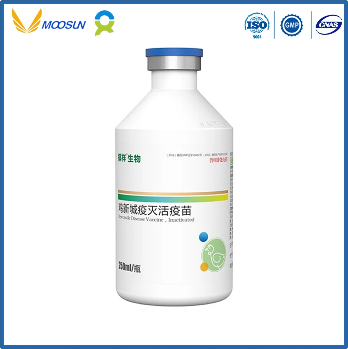 Veterinary Use Vaccine with GMP Avian Pasteurella Multocida Vaccine, Inactivated (Strain 1502) for Poultry