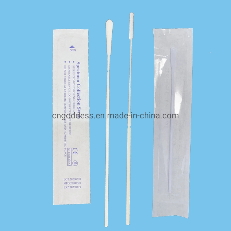 Clinical Diagnostic Kit Medical Genetic Testing Sample Collection Oral Flocked Swab