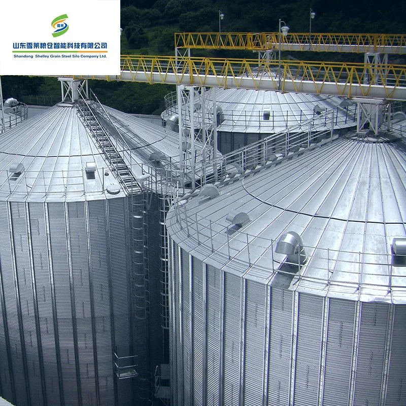 Wheat Soybean Storage Used Grain Flat Bottom Silo for Farms