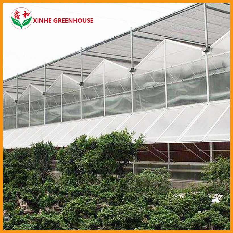 Tunnel Polycarbonate Sheet Multispan Green House Greenhouse for Vegetables with Hydroponics