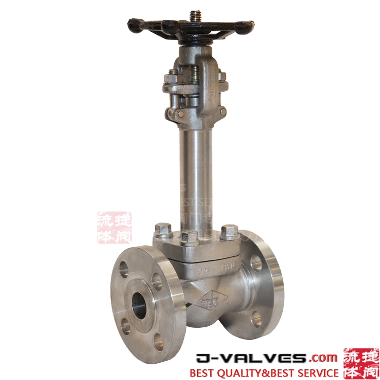 Cryogenic Globe Valve Stainless Steel F304L Flange 1inch DN25 150#