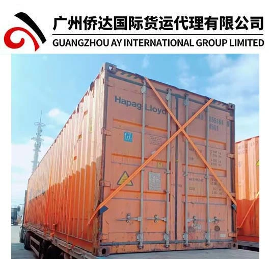 Road Shipping--Road Freight--Road Logistics-Road Service From China to Russia/Belarus