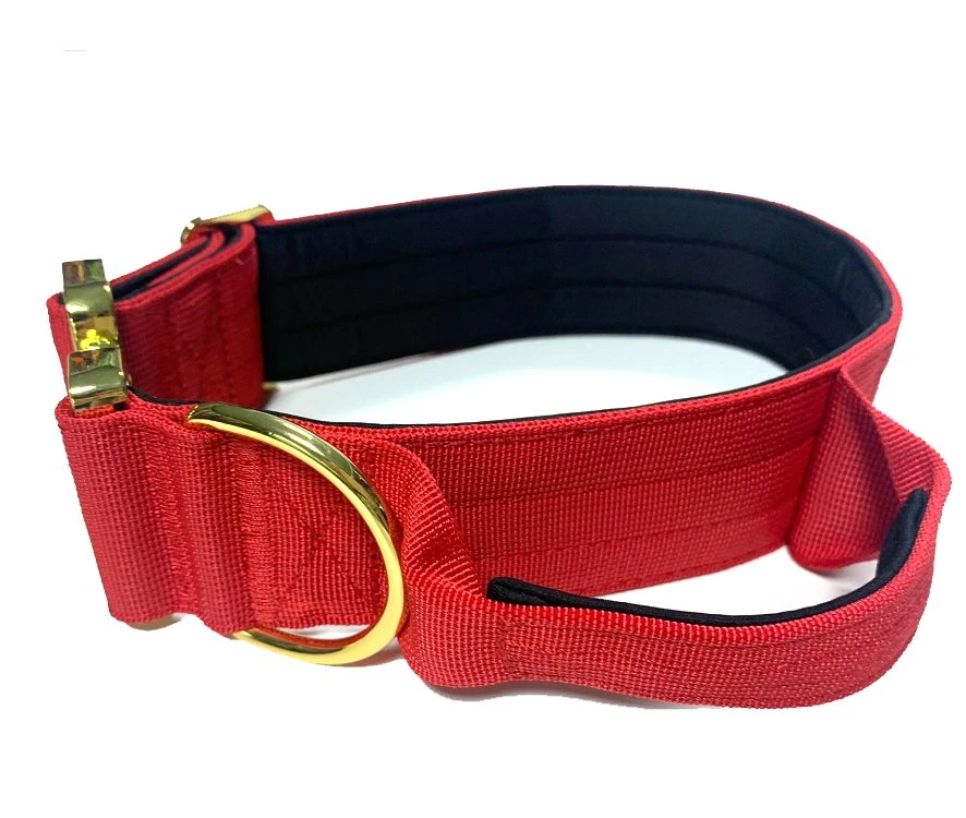 Heavy Duty Buckle Dog Collar with Handle Tactical Pet Collar