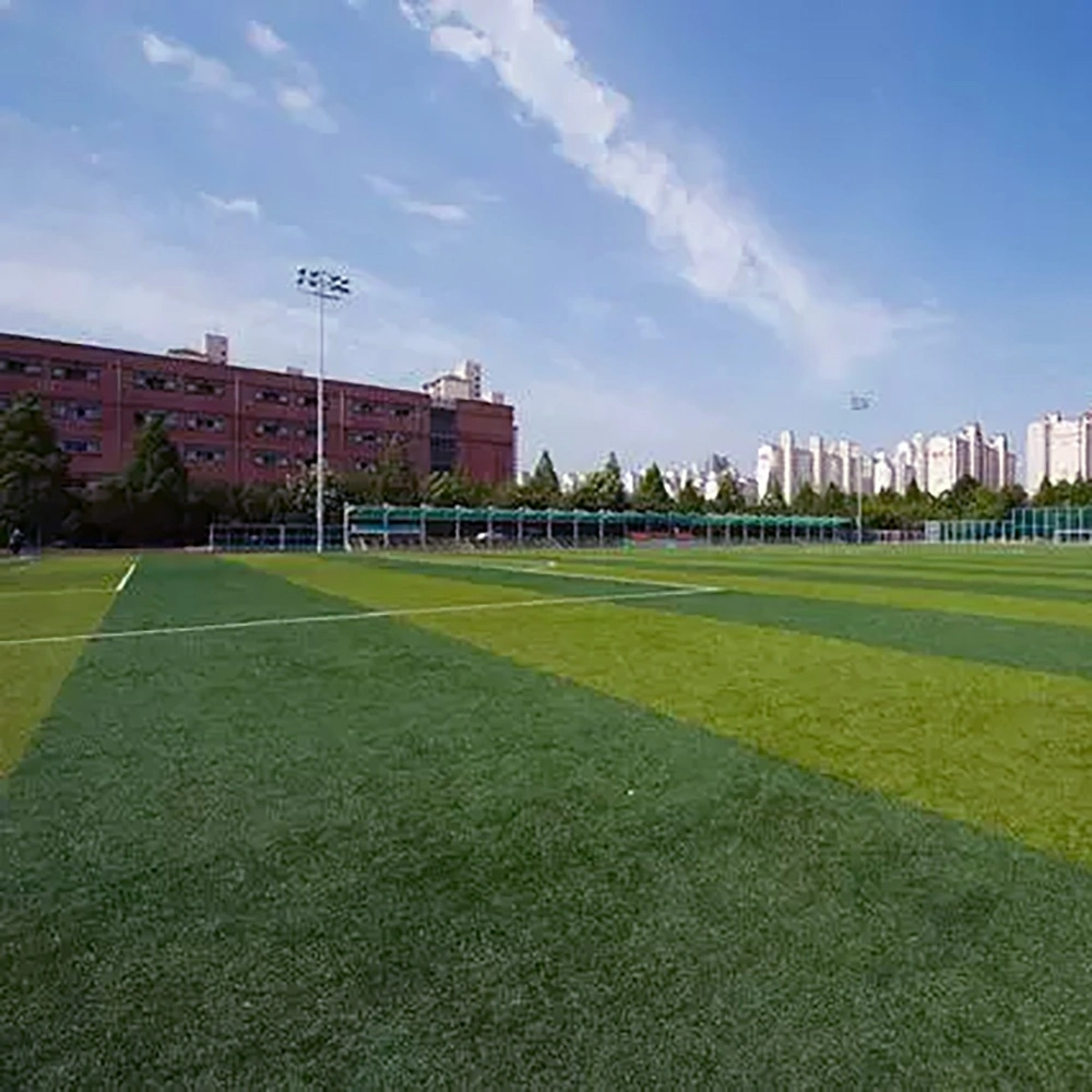 Romántico alfombra verde Fútbol Gimnasio Lugar de encuentro de arenisca de Césped Sintético