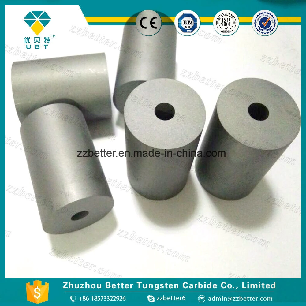 Tungsten Carbide Cold Heading Die for Punching Mould Tool Parts