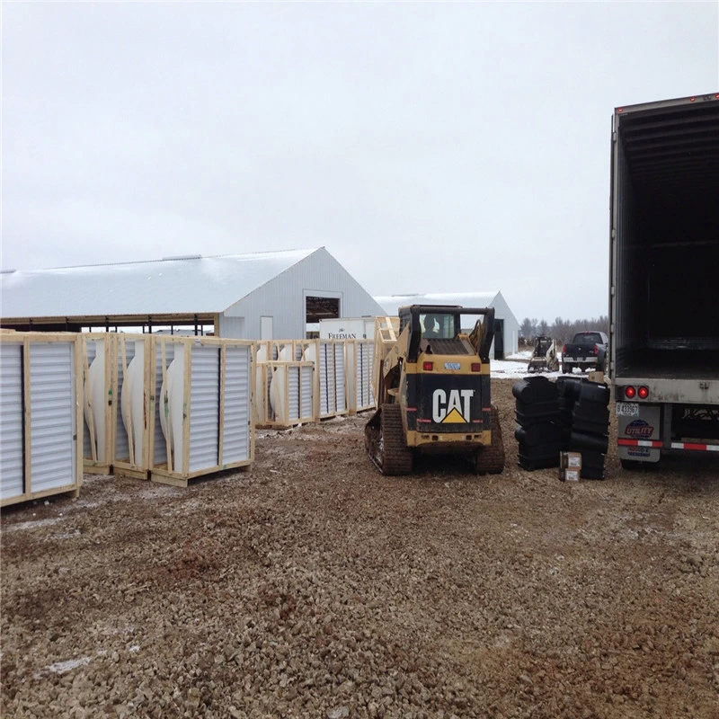 Hochwertige Prefab Leicht Installiert Galvanized Steel Chicken Poultry Farm