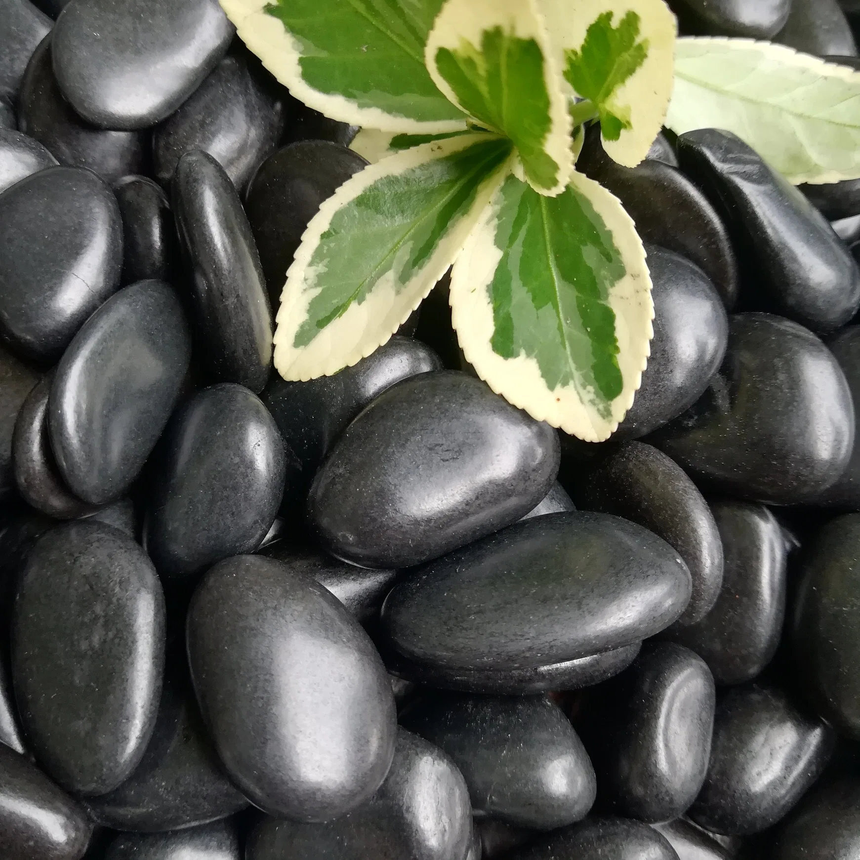 New Products Landscape Stone Black High Polished Pebble Stone for Garden Deconration