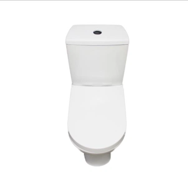 Sairi South Africa High End European Standard Ceramic Two Piece P/S Trap Ceramic Toilet From China