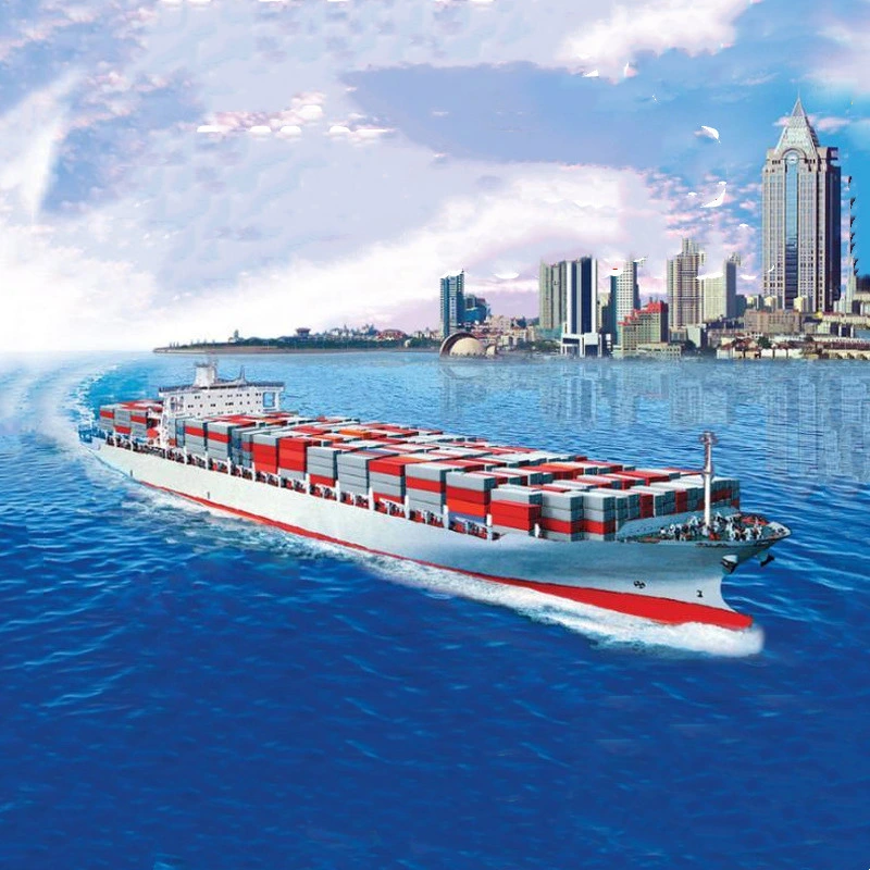 Ksd Freight Forwarder Provides Sea Shipping for India Shipment Transportation Services