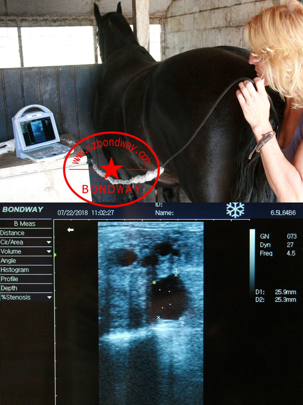 Ultra-sonografia com Doppler para sistema com veterinários com luz de fundo LED