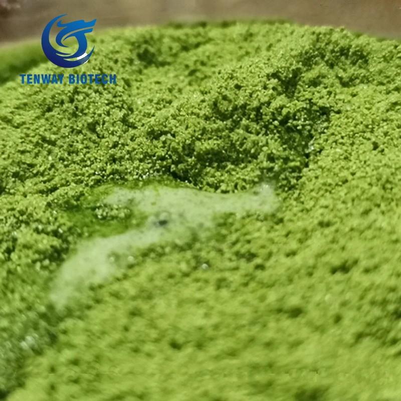 المكونات الغذائية الطبيعية / المواد الغذائية المضافة الطازجة Fragrant Health Matcha Green Tea مسحوق مشروب