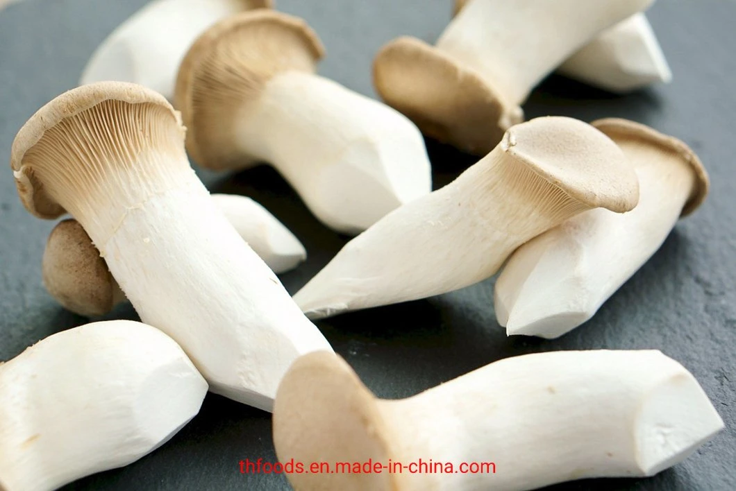 Frozen Pleurotus Eryngii Mushrooms, Frozen King Oyster Mushrooms