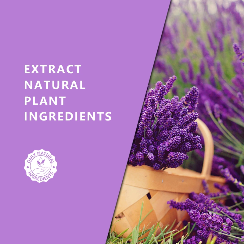 100% Extracto Natural de plantas Aceites de Aromoterapia Fabricante, aceite esencial de lavanda orgánica inglesa 100% puro para el cuidado de la piel Grado terapéutico, sin muestra