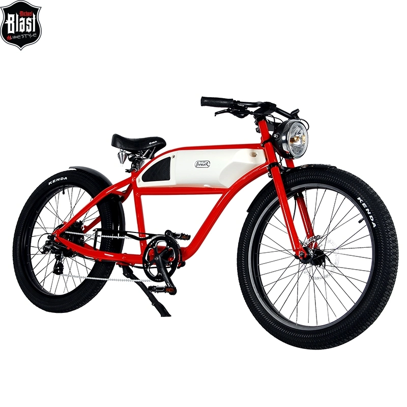 350W Motorized Ebike for Adult Electric Retro Bike for Cyclist E-Bike with Speed Sonsor