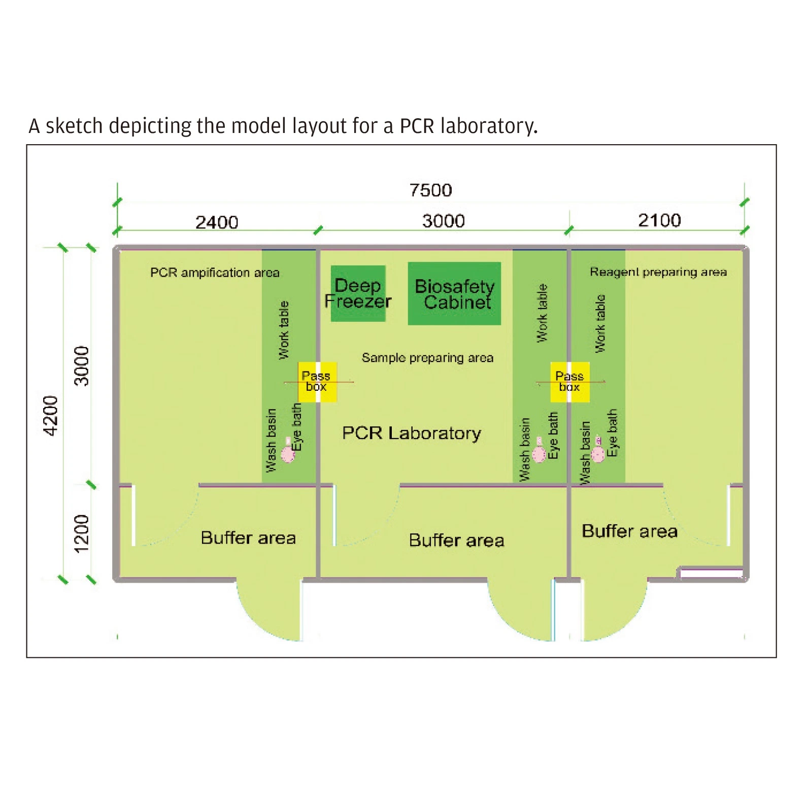 Nanbei PCR-Labor-Virus-Testlabor Design