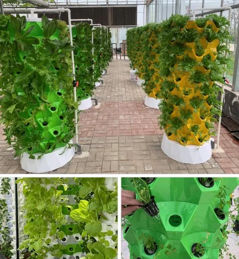 Sistema de riego Aeroponics Los sistemas de cultivo hidropónico interiores Casa Torre de la agricultura Vertical Jardín Vertical con luz LED el cultivo de hortalizas