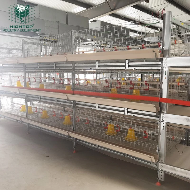 H Frame Battery Cage System for Meat Chicken Broiler Chicken Cage for Sale