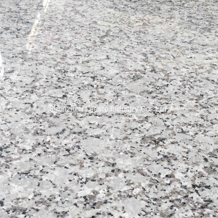 Nueva cantera Arabescato Blanco Big Flower Piso de granito Blanco pavimentación Azulejos de piedra