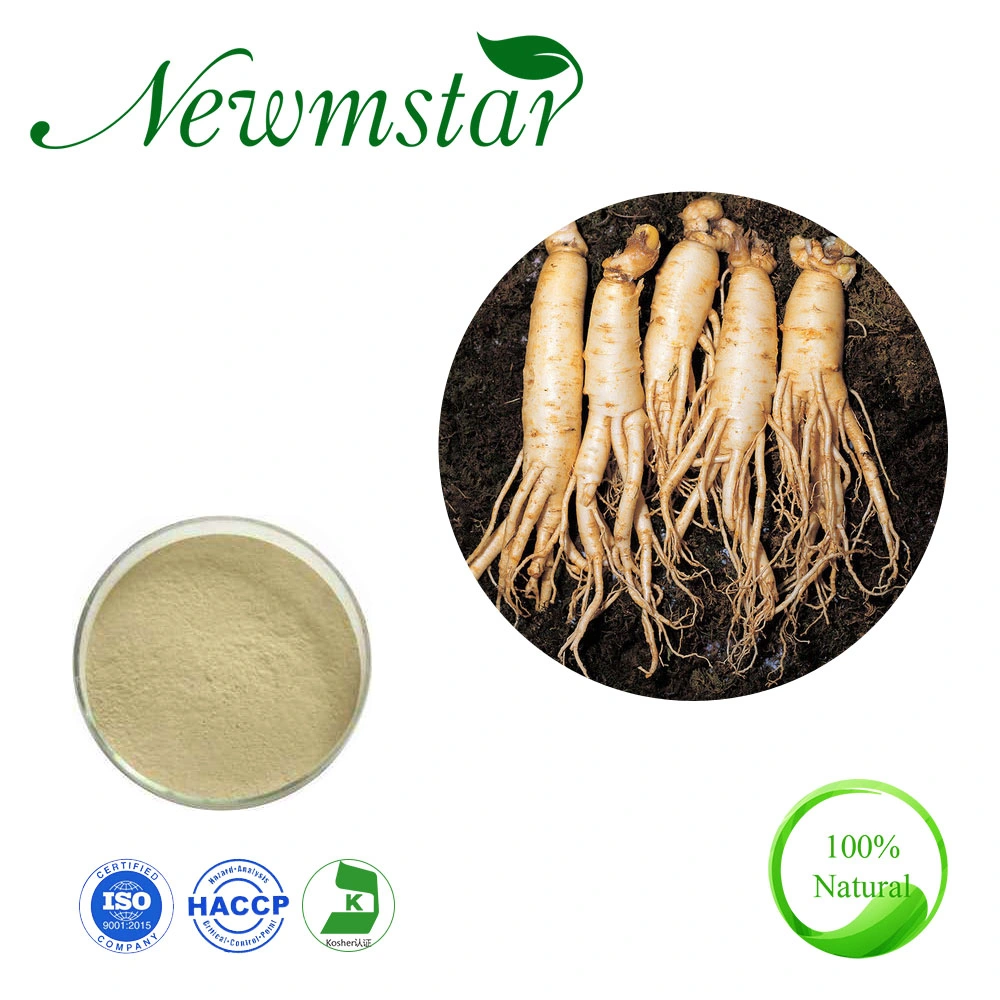 Ginseng Extract Good for Your Health Powder Form Strengthen The Immune System Root Extract