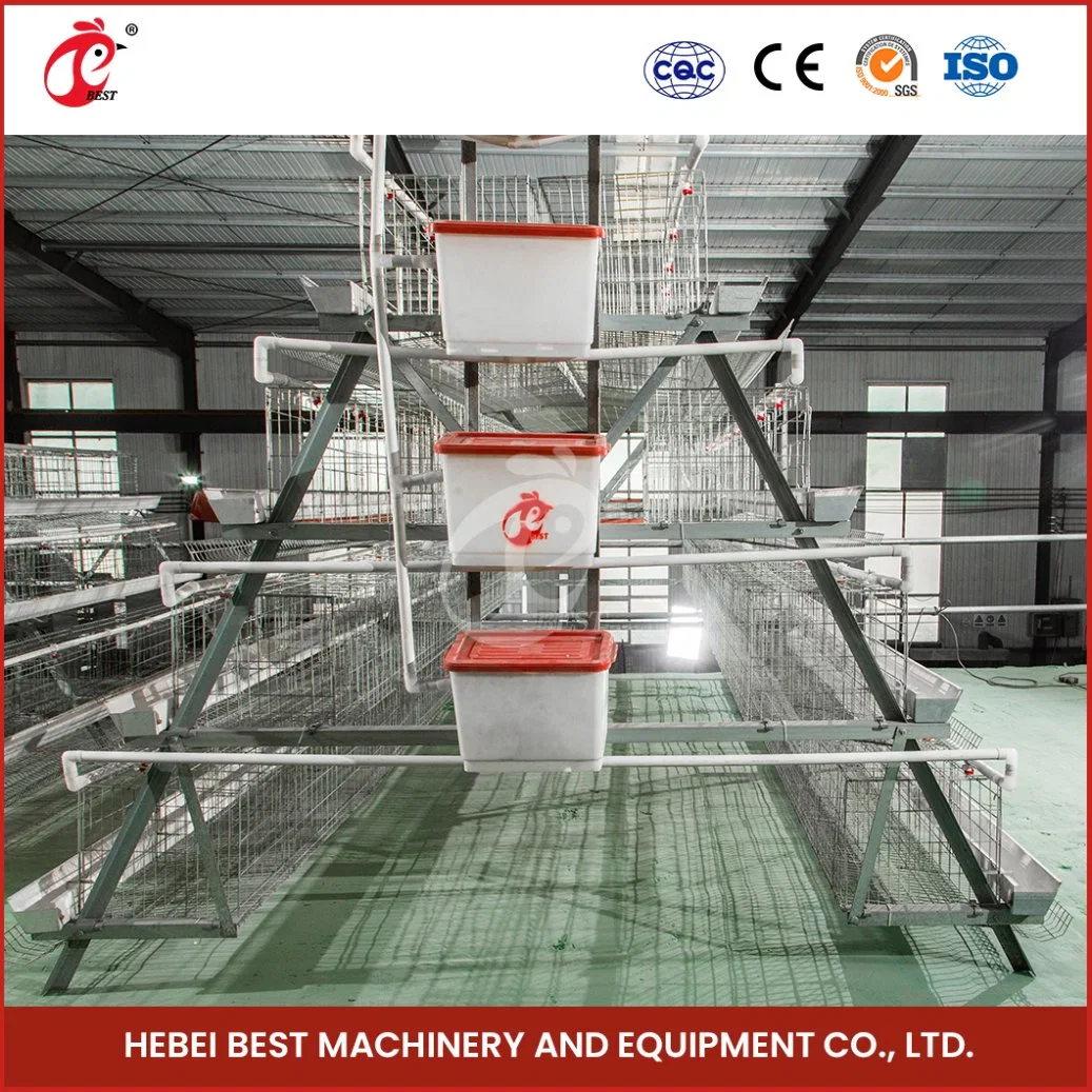 Bestchickencage China Commercial Chicken Transport Cages Supplier OEM Customized Livestock Layer Chicken Cage in Coop Configuration Pen House for Poultry