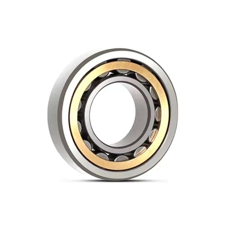 Hot Selling Factory Price Silver 40mm Nj208e Double Row Cylindrical Roller Bearing on Sale