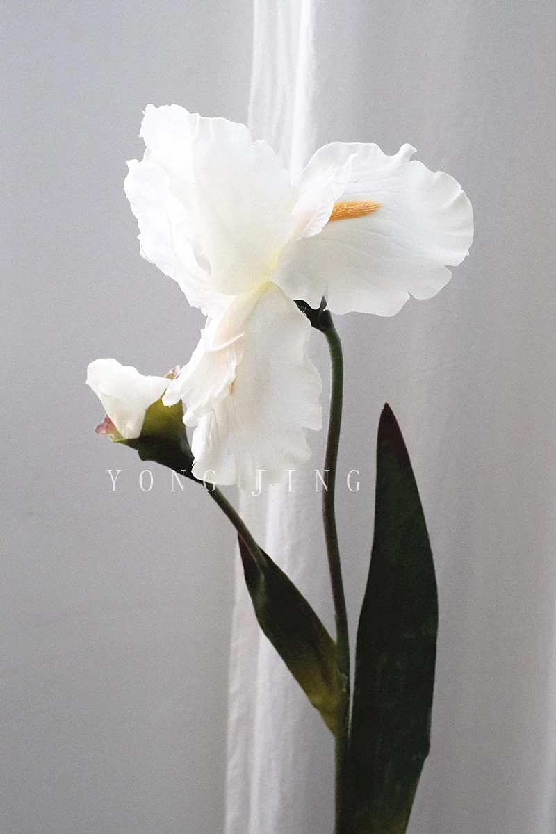 Ja230055 Decorative Fleur-De-Lis High Quality Artificial Flowers Iris Silk Flower Vintage Color for Wedding Home Garden Decoration Gift