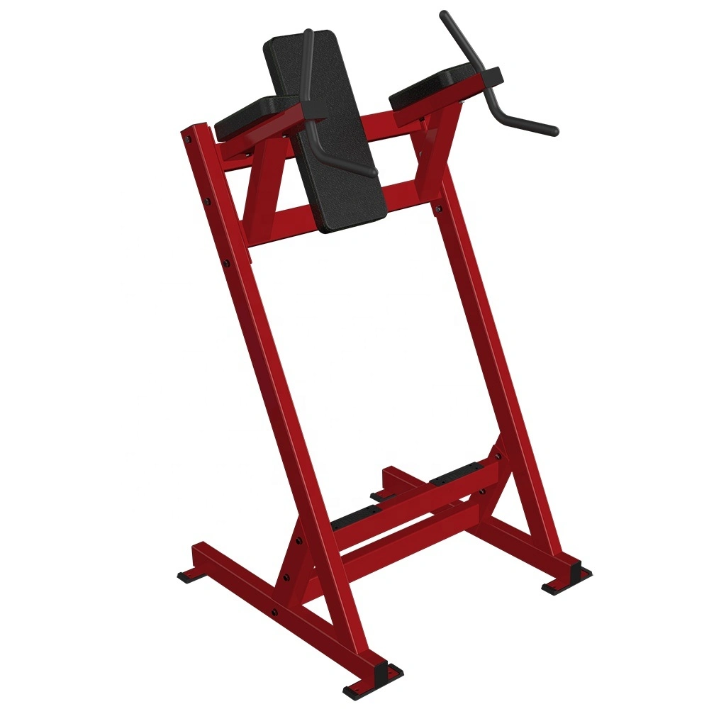 Sports Products Fitness Gym Equipment Free Weight Leg Raise