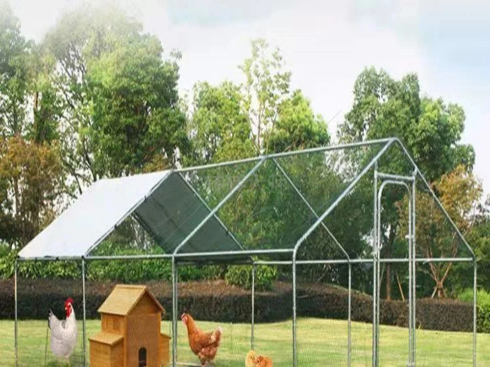 Wood Chicken Coop, Henhouse, Rabbit Cage, Chicken House