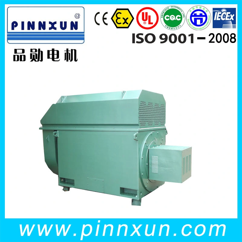 Three Phase Asynchronous Squirrel Cage Induction Motor Slip Ring 550kw Electric Motor