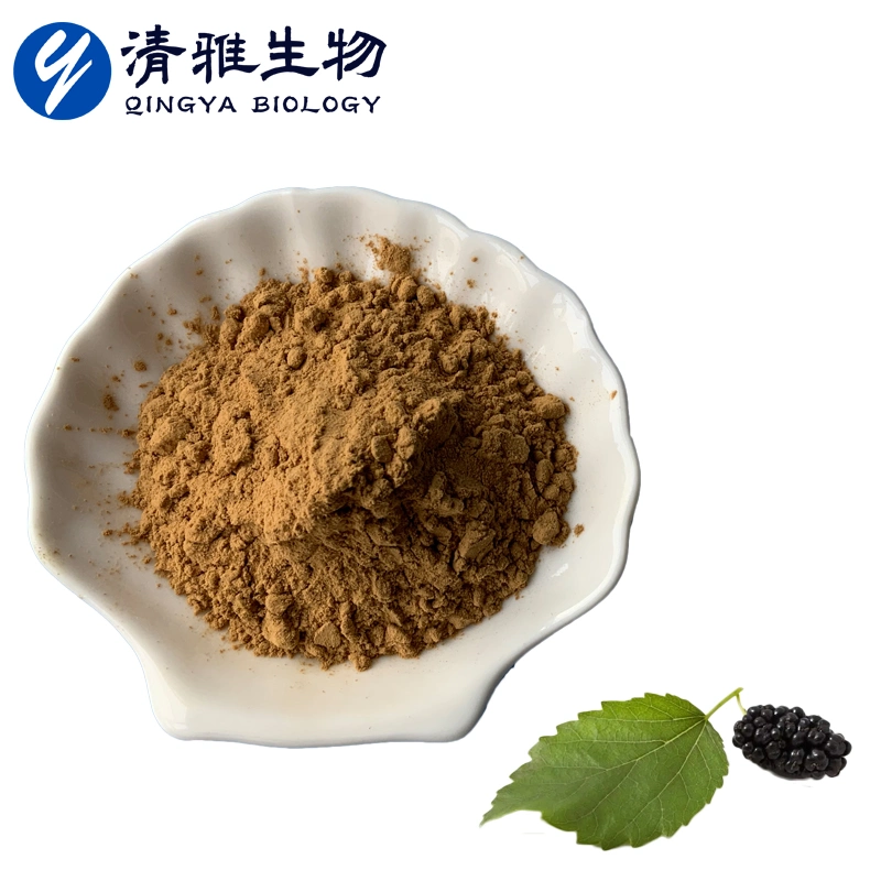 Mulberry Leaf Flavonoide 5%-30% Mulberry Leaf Extrakt Nahrungszusatzstoff