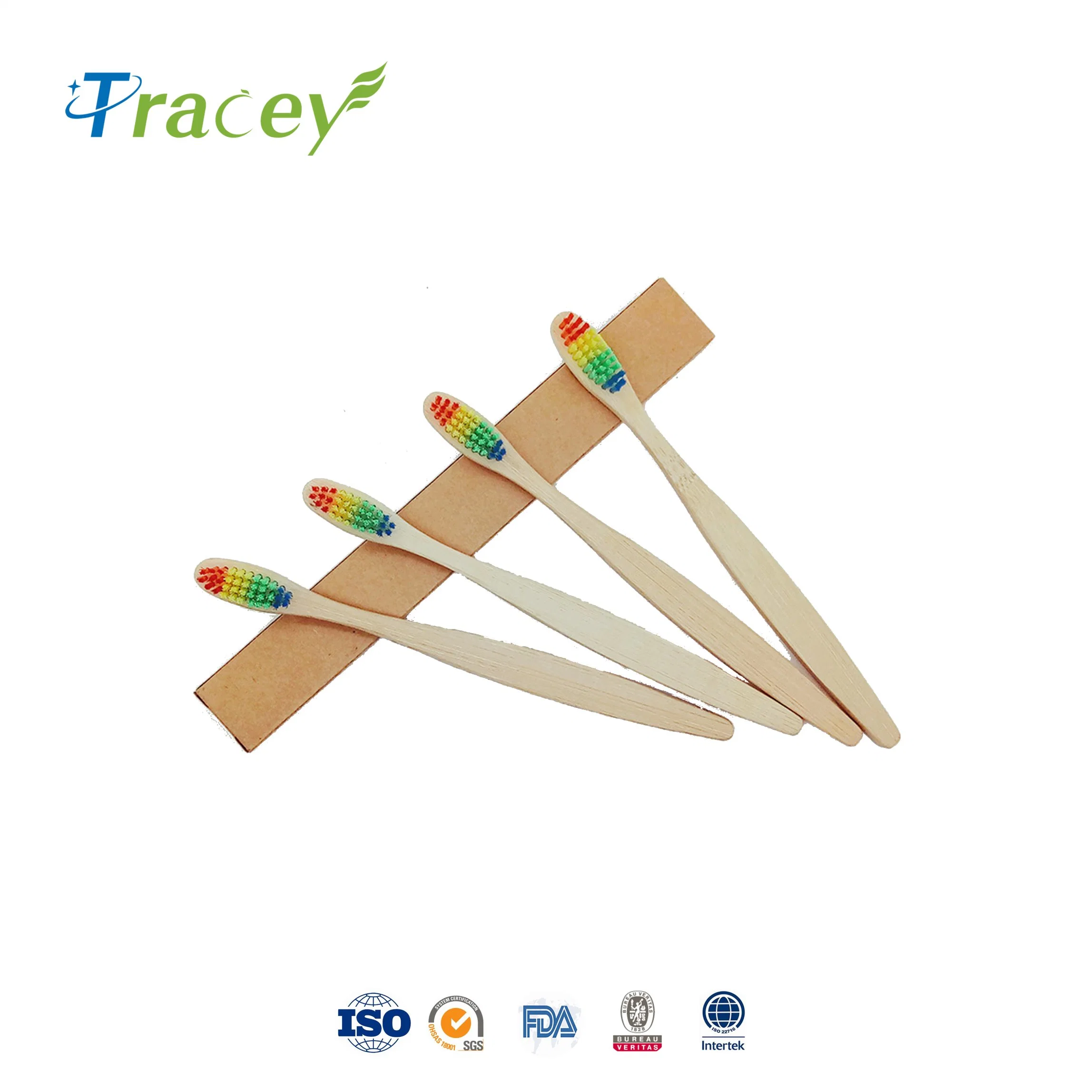 Biodegradable Rainbow Nylon 4 10 Pack 10 PCS Charcoal Bamboo Toothbrush Manufacturer