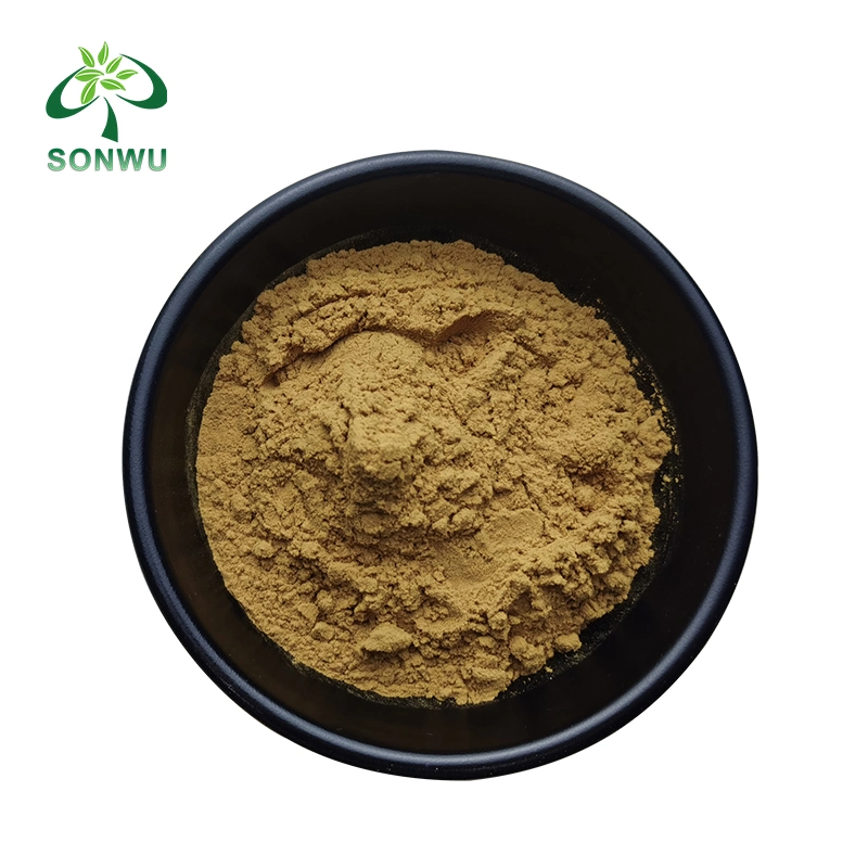 Sonwu Supply Plant Extract 5% Chlorogensäure Honigsauer Extrakt