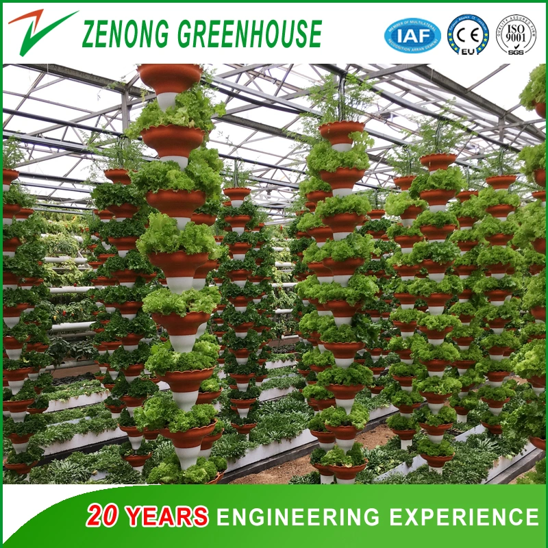 New Style Float Glass Multi-Span Greenhouse with Automatic Control system for Toursim/High-Tech Display/Ecological Picking