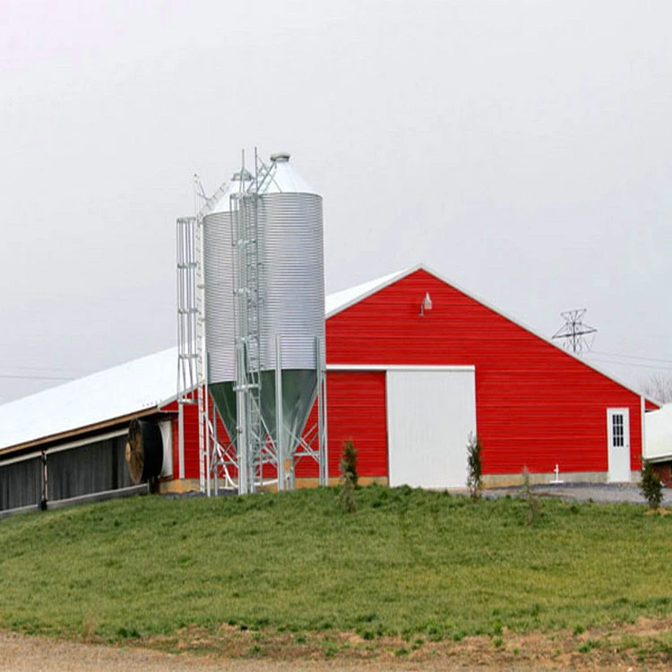 Chicken House Light Steel Structure Prefabricated Metal Building