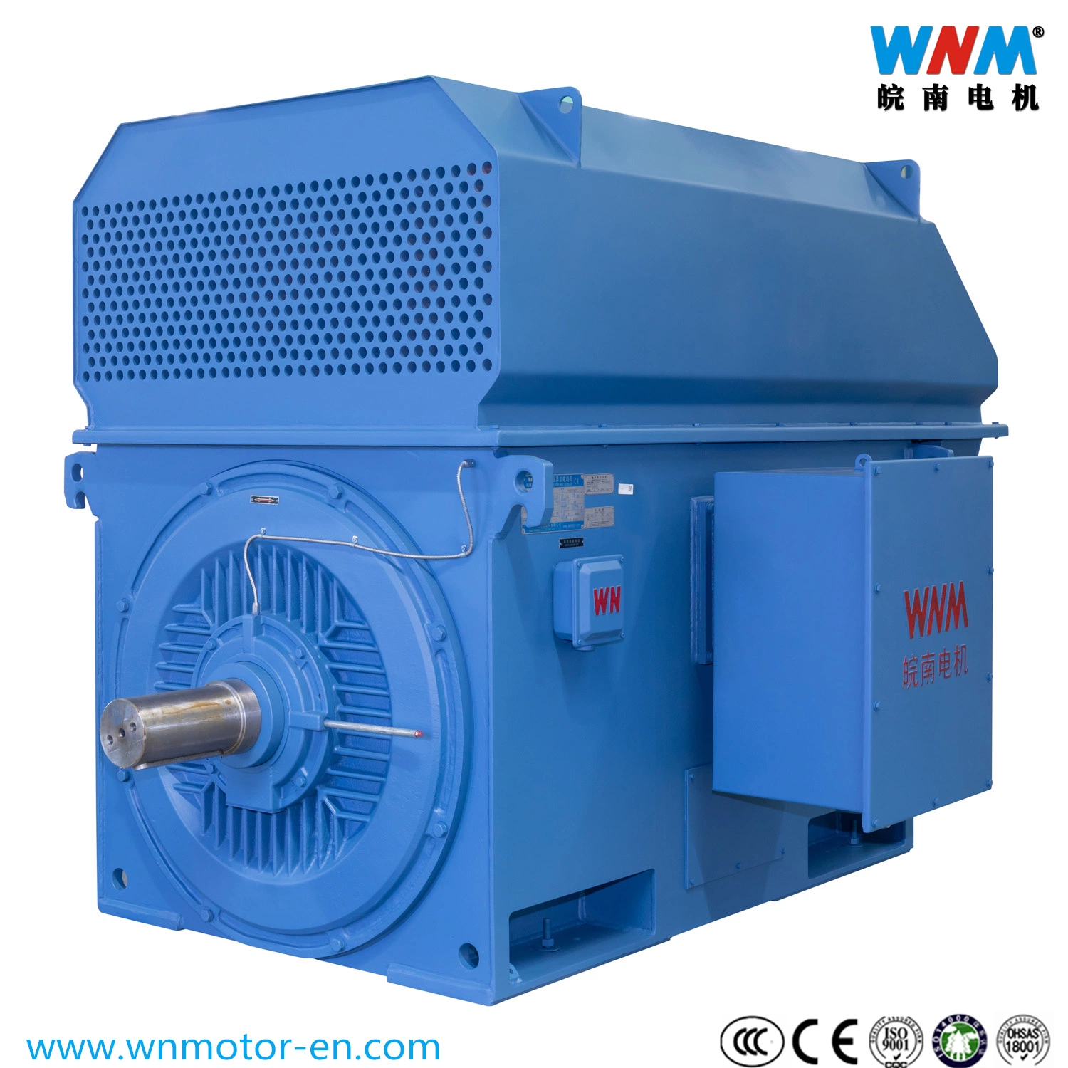 High-Voltage AC Motor 1000 Kw 10 Kv 4p Engine for The Machine on The Metal